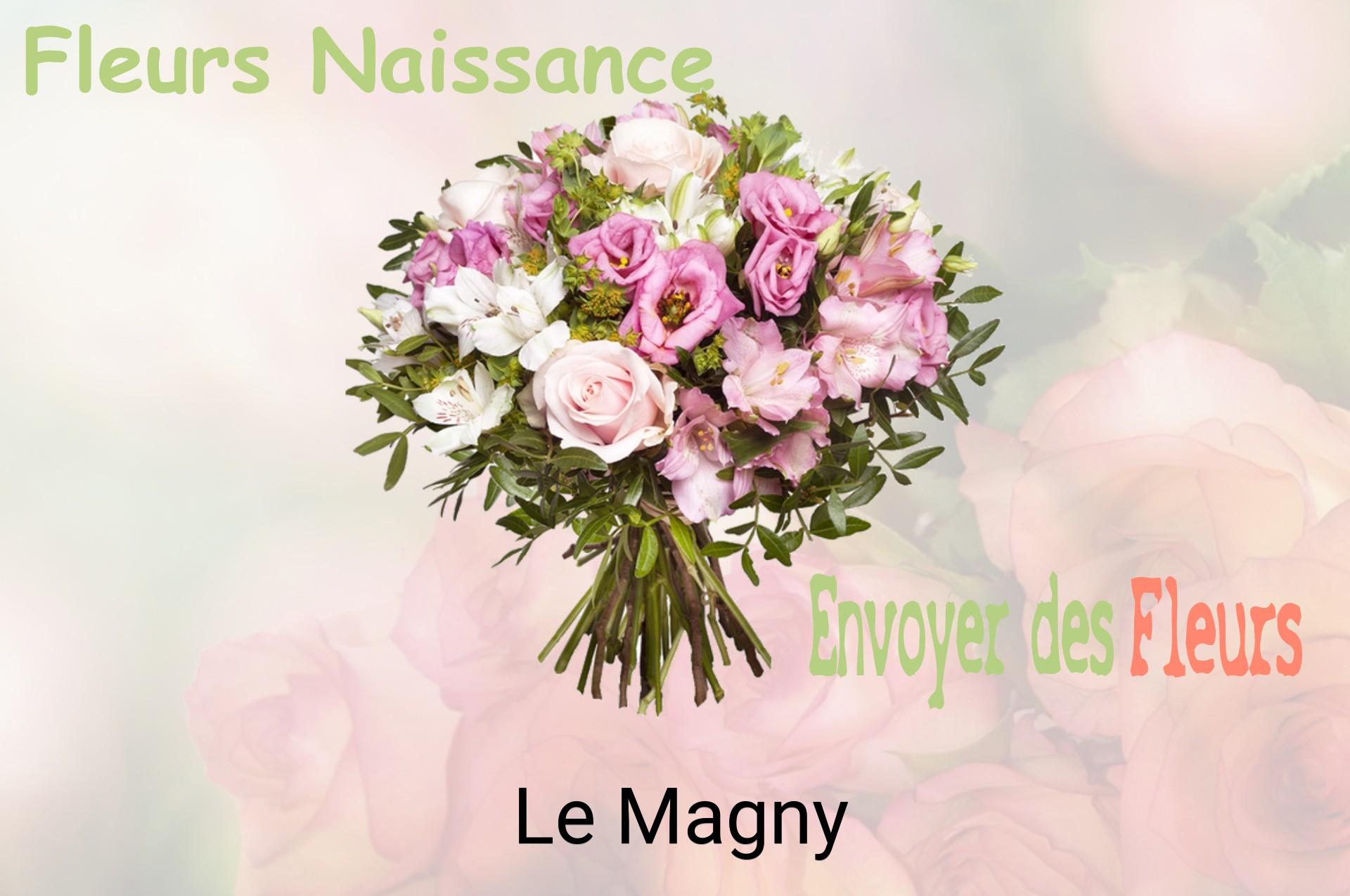 Bouquet de fleurs de naissance livré à Le Magny