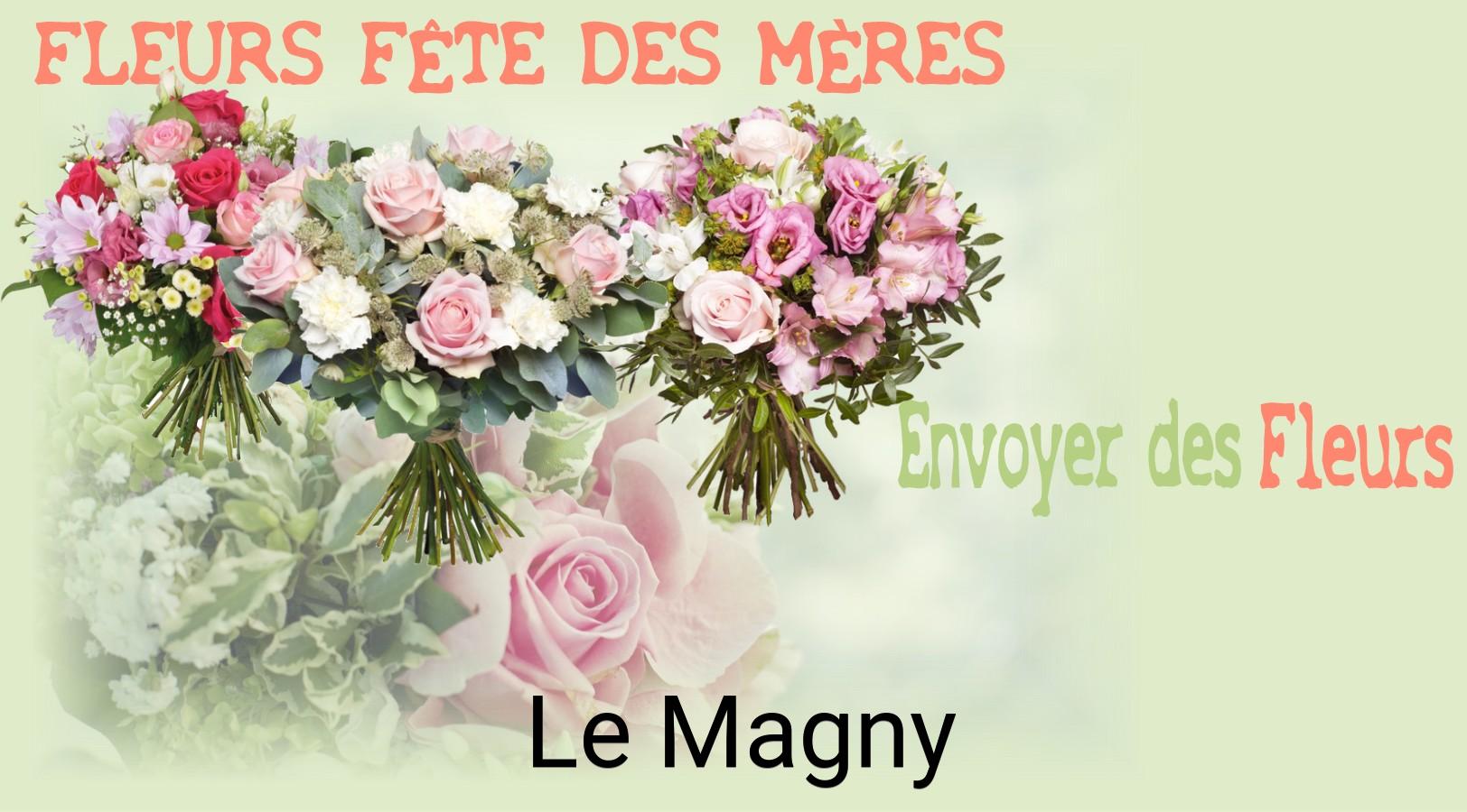 Bouquet de Fête des Mères livré à Le Magny